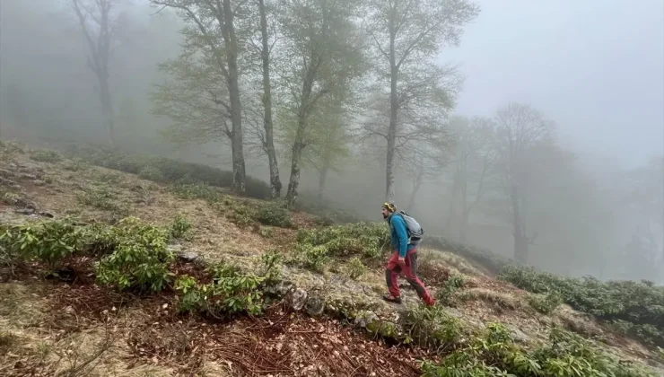 Giresun’da Otçu Göçü Geleneği Canlandırılıyor