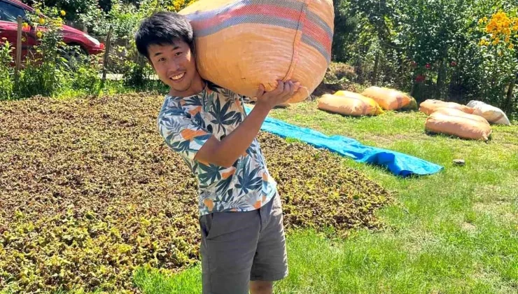 Japon Girişimci Giresun’da Fındık Üretimini Deneyimledi