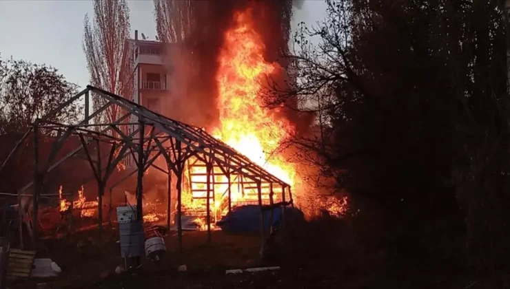 Giresun Alucra’da İş Yerinde Yangın Çıktı