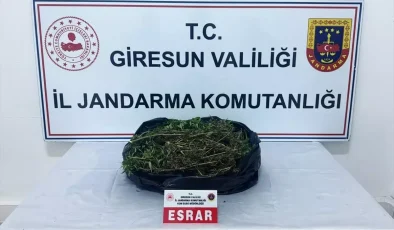 Giresun’da Uyuşturucu Operasyonu: Bir Kişi Tutuklandı