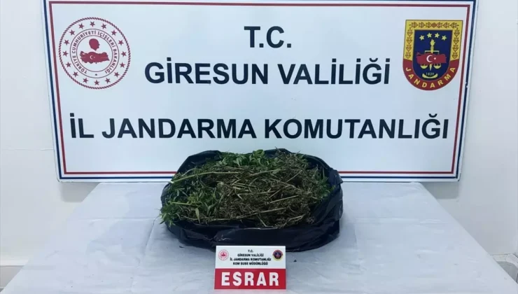 Giresun’da Uyuşturucu Operasyonu: Bir Kişi Tutuklandı